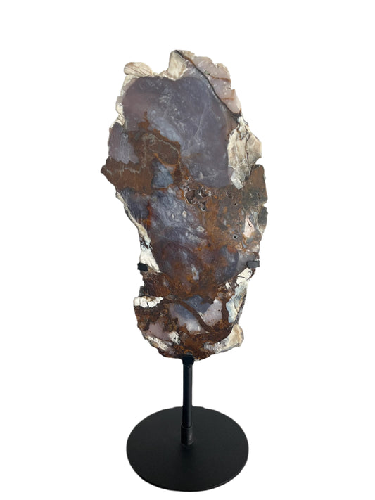 Petrified Wood Slab with Stand - E12