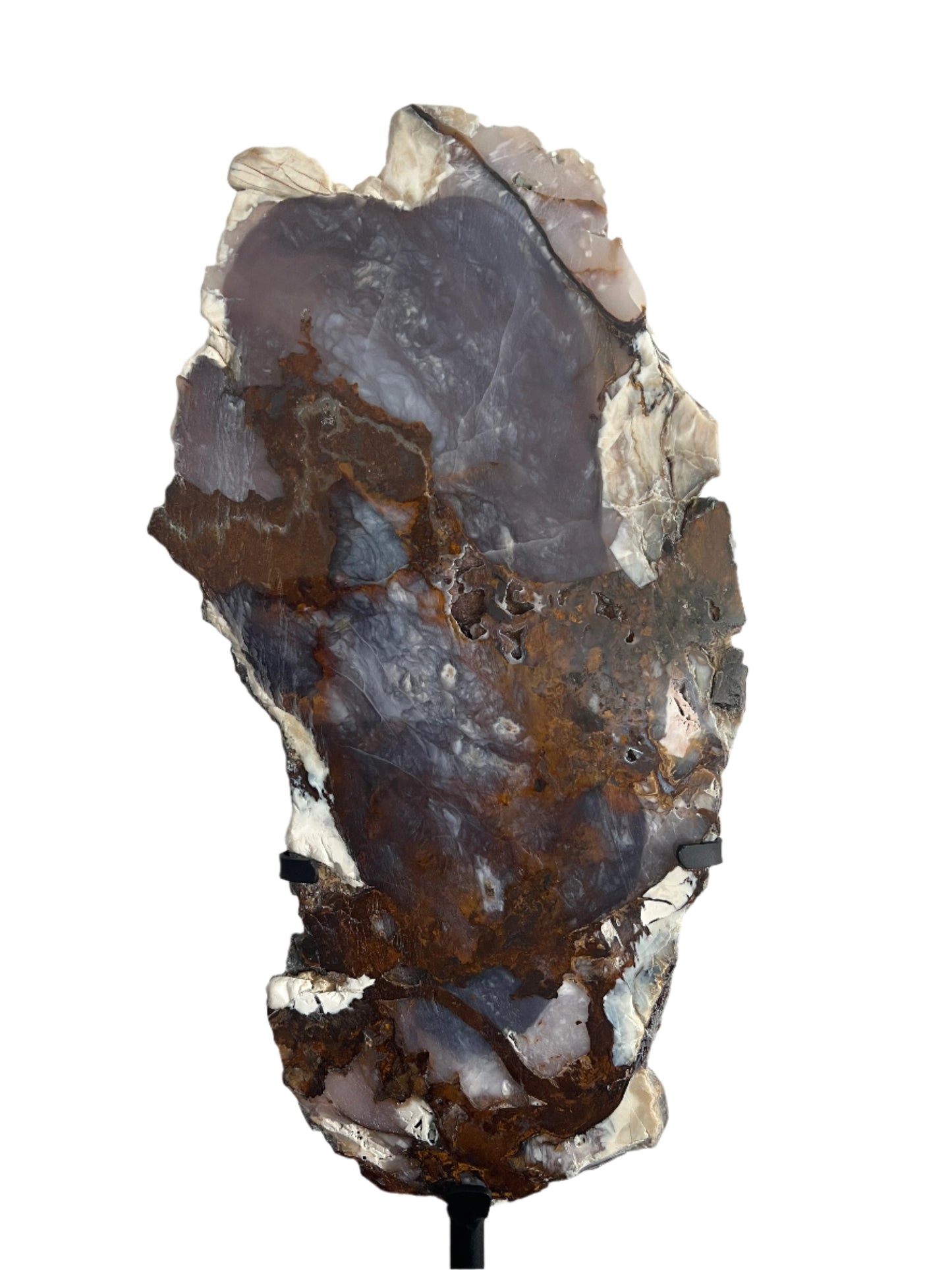 Petrified Wood Slab with Stand - E12