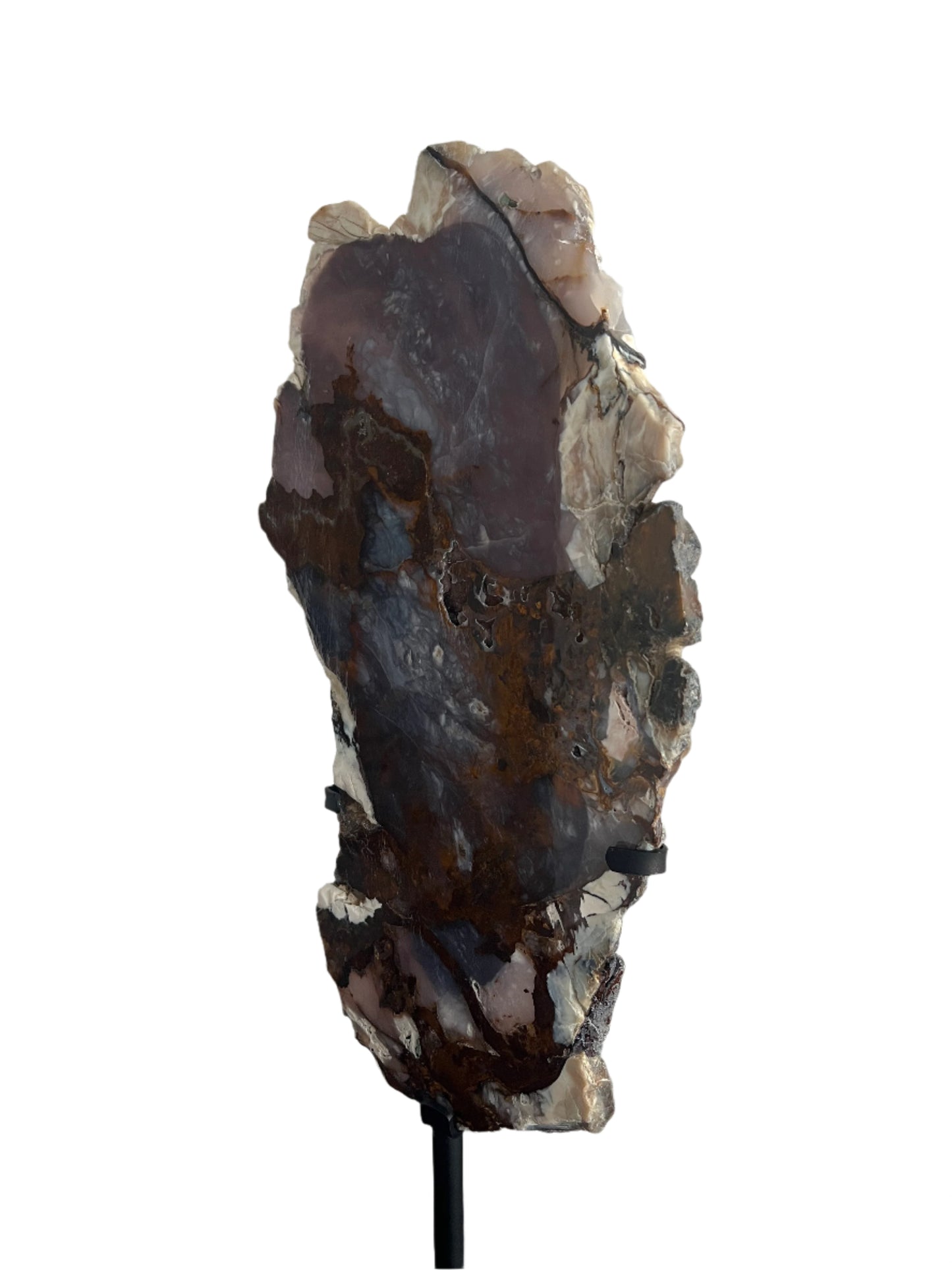 Petrified Wood Slab with Stand - E12